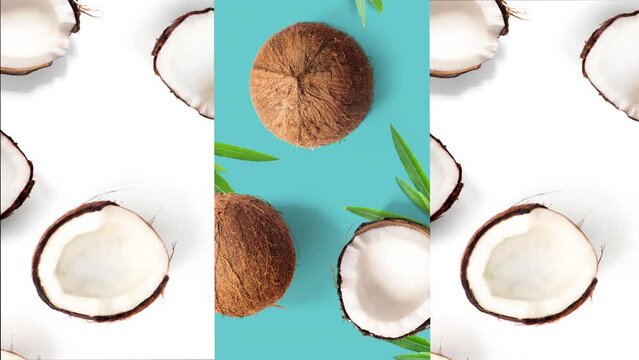 Whole and half fresh coconut set and slices animated on white and aquamarine background , top view