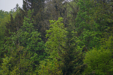 Obraz premium Park well maintained for recreation for all open in Germany