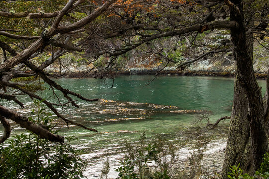 Canal Beagle, Ushuaia