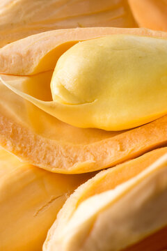 closeup of jackfruit flesh with seeds, tropical health beneficial fruit native to southeast asia, taken in shallow depth of field, macro 