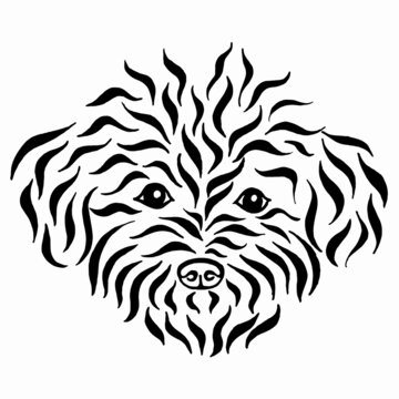 Terrier shaggy head, funny dog. Shaggy dog breed drawing. Black white illustration of a fluffy dog. Linear drawing. Calligraphy image.
