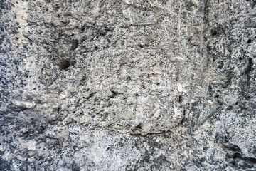 Gray stone as a background. The photo was taken in the 18th century castle.
