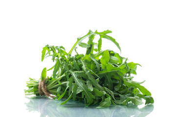 bunch of fresh organic green arugula on white background
