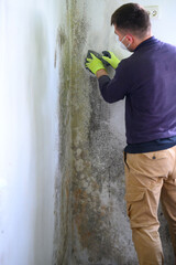 The man uses a spatula to remove mold and fungus on the wall. - obrazy, fototapety, plakaty