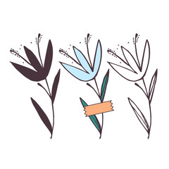 Hand drawn flower and branches doodle, Vector illustration
