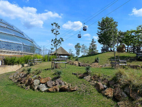 Beauval Zoo, France - August 2019 : View of various zoo settings with the chairlift cabins in the distance
