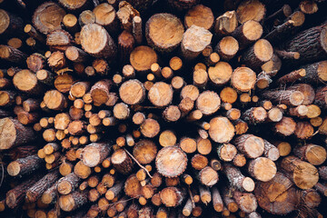 pile of wood
