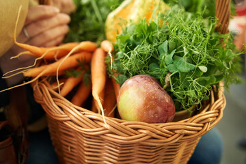 Fresh fruits and vegetables in a basket on the way from the farmers market