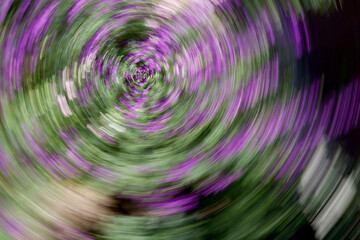 fractal blur motion abstract background with purple flowers and plants
