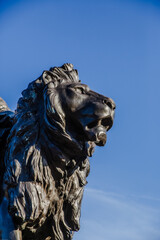 Lion sculpture from Trafalgar Square in London, England