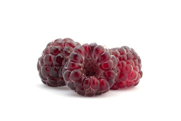 Cumberland hybrid raspberry and blackberry