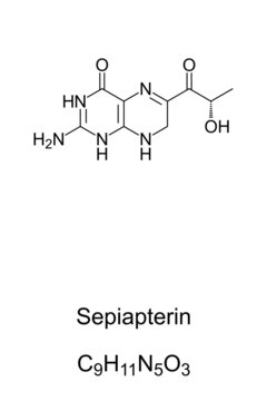 Sepiapterin, sepia ink color, chemical formula and structure. Color, named after the dark brown pigment derived from the common cuttlefish Sepia.  Formerly an important dye, today used as food color.