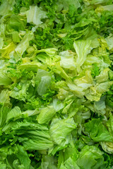Chopped Fresh Green Lettuce Leaves closeup. Salad background.