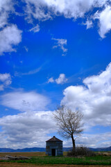 Old Grain Silo Grainary and Tree on Farm Ground with Sky and Clouds