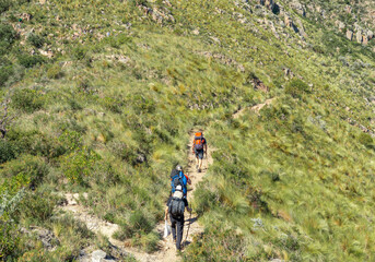 Fototapeta na wymiar Rear View of Group of People Hiking Whit Backpack to the Top of Mountain in a Sunny Day