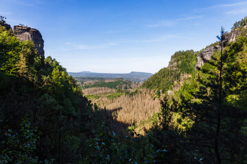 Naklejka premium Landscape view of mountains and trees, Bohemian Switzerland National Park, Czech Republic