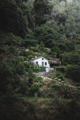 house in the mountains, Azores