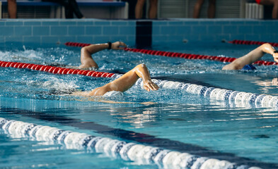 Swimming crawl in the sports pool