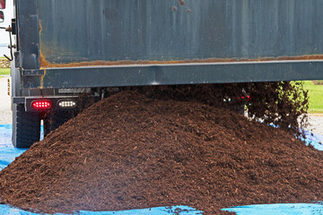 A dump truck delivers a large load of mulch or wood chips use for landscaping top ground material and accents.