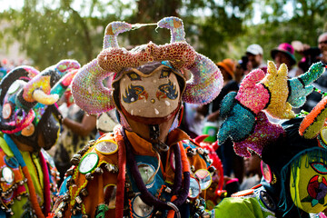 Carnival mask