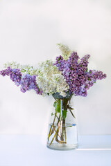 Bouquet of lilacs in a glass vase on a white background.