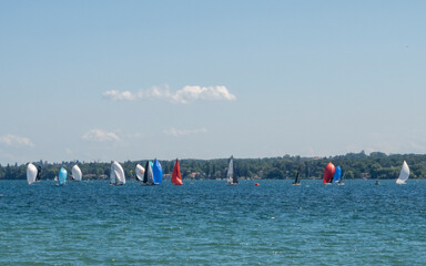 Fototapeta premium Régate de voiliers sur le lac de Genève