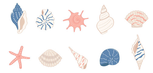 A set of colorful cartoon style sea shells