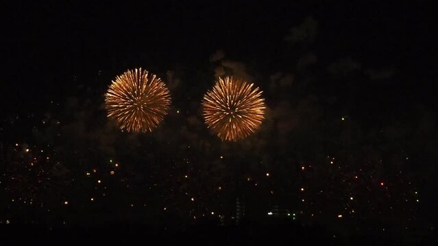 Colorful fireworks of various colors over night sky, fireworks in honor of the celebration of the holiday, new year.