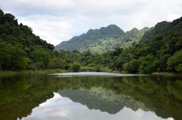 Fototapeta na wymiar Serene landscape of the lake in Cuc Phuong National Park, Vietnam