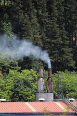 Fototapeta na wymiar contaminación polución industrial chimenea echando humo fábrica país vasco 4M0A9040-as22