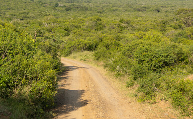 Naturreservat Hluhluwe Imfolozi Park Südafrika