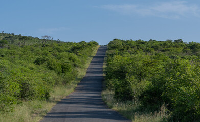 Fototapeta na wymiar Naturreservat Hluhluwe Imfolozi Park Südafrika