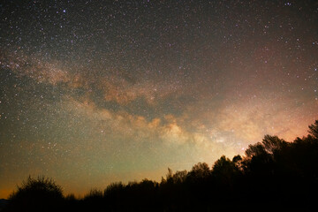 Fototapeta na wymiar Beautiful bright milky way galaxy at the night sky and trees silhouette. Astronomical background.