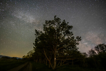 Beautiful bright milky way galaxy at the night sky.  Night forest. Astronomical background.