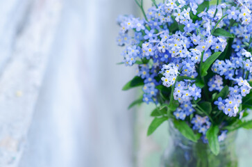 Bouquet of blue forget-me-nots flowers