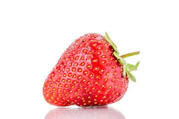 One berry of a ripe organic strawberry, close-up, isolated on a white background.