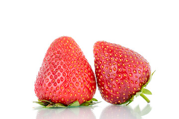 Two berries of ripe organic strawberries, close-up, isolated on a white background.