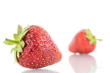 Two berries of ripe organic strawberries, close-up, isolated on a white background.