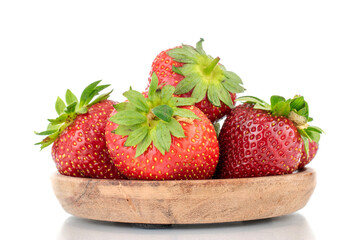 Several berries of ripe organic strawberries on a wooden saucer, close-up, isolated on a white background.