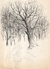 Vintage monochrome ink and pen sketch drawing on old paper. Old oak trees without leaves in the park 