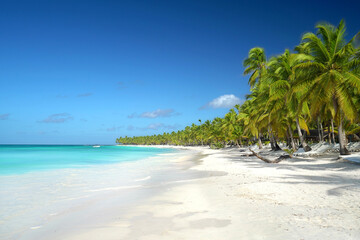 palmengesäumter Strand in der Karibik - obrazy, fototapety, plakaty