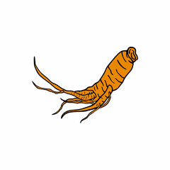 Ginseng root logo. Herbal logo design vector Illustration