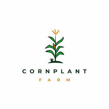 Corn stalk, corn tree, corn plant logo design vector illustration