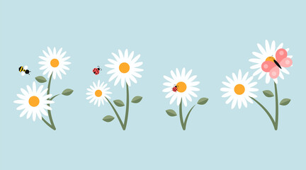 White camomiles and insects cartoon illustration set. Ladybug, butterfly and bumblebee or bee sitting, collecting nectar or pollinating daisy flowers. Spring, meadow, nature concept - obrazy, fototapety, plakaty