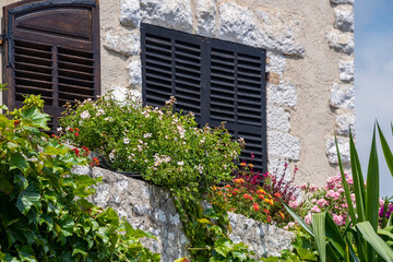 Fototapeta na wymiar Flowering Plants in Garden Box near Windows