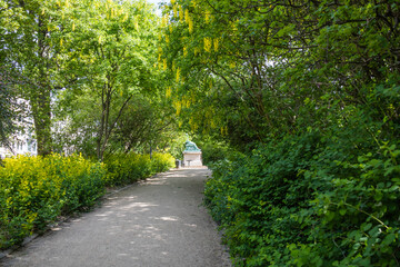Fototapeta premium Path in the summer park and green trees. Park and recreation concept.
