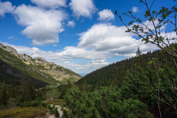 Fototapeta na wymiar The spring landscape of the Kondratowa Valley.