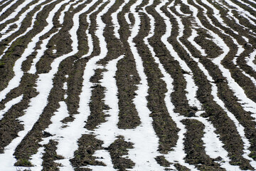 The plowed field is covered with snow and ice. The threat of crop destruction and starvation of the...