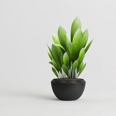 3d illustration of houseplant in modern potted isolated on white background