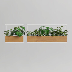 3d illustration of houseplant on wall isolated on white background